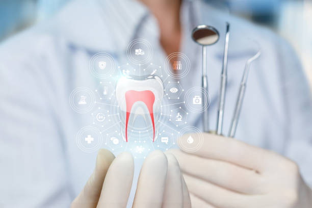 Best Traditional Braces  in Palisade, CO
